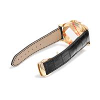 オメガスーパーコピー デビル コーアクシャル 4631-3131 自動巻き シルバー