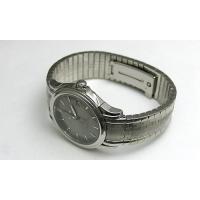 オメガスーパーコピー デビル コーアクシャル 4531-41 ステンレス グレー 38.0mm