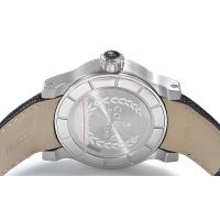 コルムスーパーコピー ロムルス パワーリザーブ 373.515.20.F101 BA65 ステンレス グレー