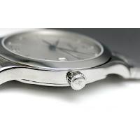 ジャガー・ルクルトスーパーコピー マスターコントロール Q1398120 ステンレス シルバー