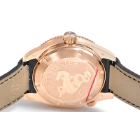 オメガスーパーコピー シーマスター プラネットオーシャン 222.63.42.20.01.001 ブラック