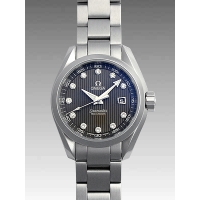 オメガスーパーコピー シーマスター アクアテラ 231.10.30.61.56.001 グレー