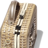 CHANEL スーパーコピー 19SS シャネル スモール バニティ ケース A93342 B00427 N4454