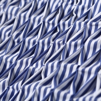 シャネル スーパーコピー 19Cruise CHANEL スカート ブルー＆ホワイト コットンポプリンP60279 V45710 MF499