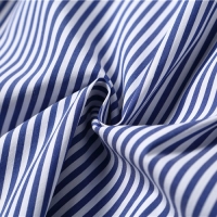 シャネル スーパーコピー 19Cruise CHANEL スカート ブルー＆ホワイト コットンポプリンP60279 V45710 MF499