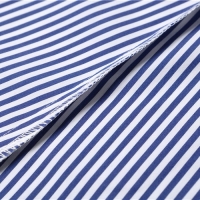 シャネル スーパーコピー 19Cruise CHANEL スカート ブルー＆ホワイト コットンポプリンP60279 V45710 MF499