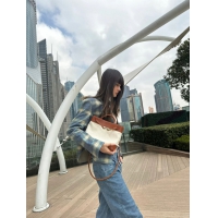 【BOTTEGA VENETA】ボッテガヴェネタ スーパーコピー スモール アンディアーモ ショルダーバッグ（791594V42E19802）